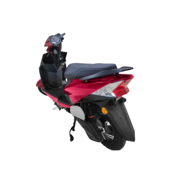Kingche ZS Model - Image 4