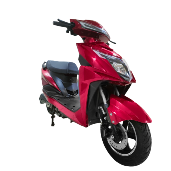 Kingche ZS Model - Image 2